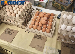 Омлет стал дороже: цены на яйца в Краснодаре подскочили на 8%