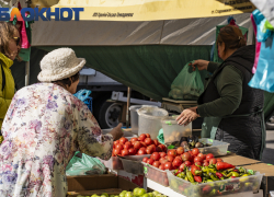 В Краснодаре откроют 7 ярмарок с ягодами, овощами и мясом 