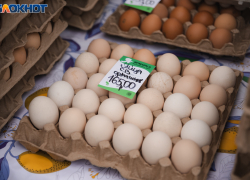 Очередной подъем цен на яйца зафиксировали в Краснодаре