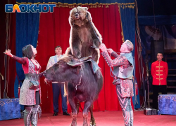 Медведи на буйволах и полёт без страховки: «Торнадо» ворвался в Краснодар с уникальным шоу