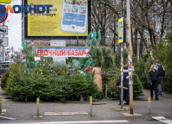 Дату открытия ёлочных базаров назвали в Краснодаре