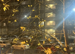 В Краснодаре заметили первый снег: видео