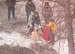 В полиции Краснодара опровергли инцидент с голой девушкой на улице