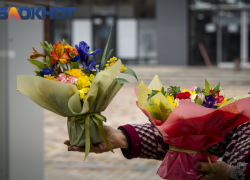 Праздник за 7 млн рублей закатят к 8 Марта на Кубани