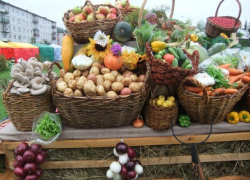  На Кубань вернулись ярмарки выходного дня 