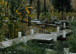 Солнце вновь скроется за облаками в Краснодаре