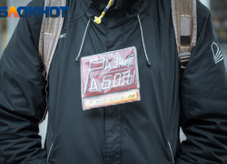 Всегда нужны водители: востребованные профессии и численность безработных раскрыли на Кубани 