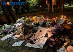 Жители ЮМР поделились подробностями о мемориале в память о погибших бездомных собаках