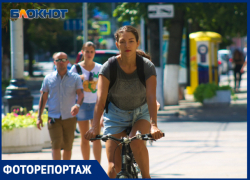 Велосипедисты Краснодара: дорожные хищники или невинные жертвы