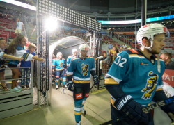 Сочинские "леопарды" выиграли дома у "Нефтехимика"