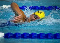 Новый крупный спорткомплекс в Краснодаре завершили на 55%