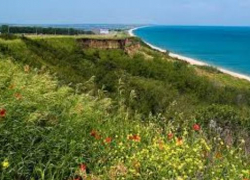 Поменялся очередной глава района в Краснодарском крае