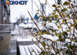 Дождь и штормовой ветер до 30 м/с обрушатся на Краснодарский край