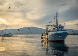 В Намибии застряло российское судно с краснодарцами на борту