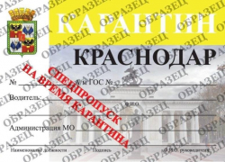 Предприятия Краснодара могут оформить спецпропуск на транспорт на дополнительном сайте