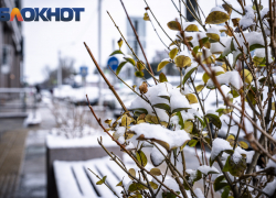 В Краснодар медленно идет потепление 