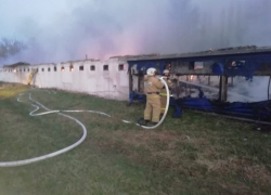  Крупный пожар на птицефабрике произошел на Кубани 