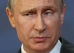 Путин первый, а Жириновский догнал Грудинина в борьбе за жителей Краснодарского края