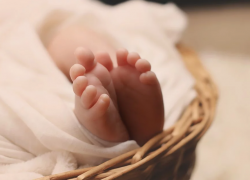  В Краснодаре с начала года родилось 50 двоен 