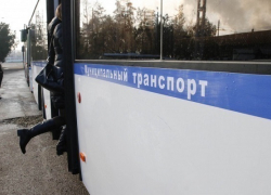 В Краснодаре запустят 98 олимпийских автобусов