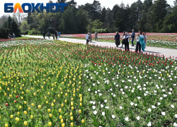 Резкие температурные скачки устроит погода в Краснодаре