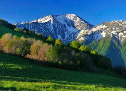Туристы хотели переждать коронавирус в горах Сочи