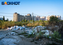 Судебные дела, нулевая выручка и лишение статуса регоператора: кто будет отвечать за переработку мусора в Краснодарском крае 