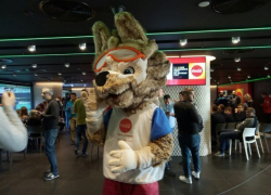  Сочи готов к приезду сборных Бразилии и Польши по футболу 