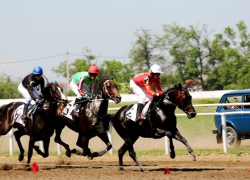 В Краснодаре на ипподроме откроют тотализатор