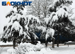 До -8 градусов будет по ощущениям в Краснодаре во вторник 