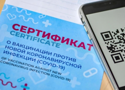 В мэрии Краснодара привиты от коронавируса 95% сотрудников