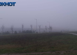 Водителей в Краснодарском крае предупредили об опасности на дороге из-за тумана