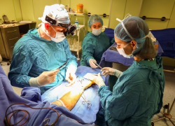 Спасая покусанную собакой женщину, кубанские врачи провели 18 операций