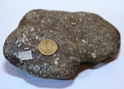 Камень возрастом сотни миллионов лет выловил рыбак на Кубани