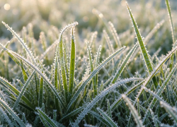 Апрельские заморозки до -4 градусов ударят по Краснодарскому краю