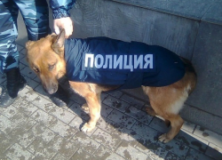 Полиция Краснодара проведет в городе учения  