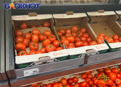 В Краснодаре сравнили цены на продукты Росстата с реальными 