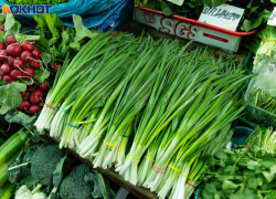 Число ярмарок выходного дня в Краснодаре вырастет до 8