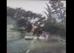 На видео попало рухнувшее на авто дерево во время шторма в Сочи