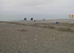  В Сочи спилили забор, который перекрывал выход на пляж 