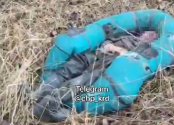 На Кубани нашли тело рыбака на песчаном карьере