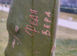 Вандалы испортили редкие лавочки в парке Галицкого