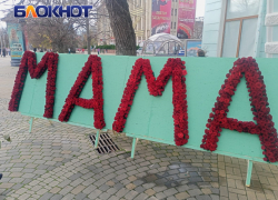 Мастер-класс и праздничные концерты: как краснодарцы отпразднуют День матери 