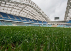  Футбольные сборные России и Бельгии сыграют в Сочи товарищеский матч 