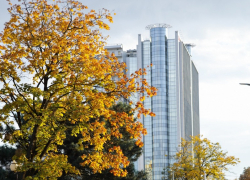 В Домклик оценили спрос на посуточную аренду к Новому году