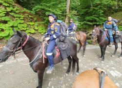 В Сочи ищут пропавшую в горах группу детей и взрослых