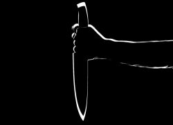 В Краснодарском крае женщина зарезала знакомого за оскорбления