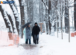Зима не отступает: стоит ли ждать нового снежного нашествия в Краснодаре?