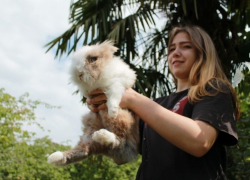 В победе Испании над Португалией уверен сочинский оракул Пушок