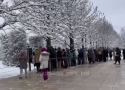 В парк Галицкого пришли толпы желающих увидеть зимнюю сказку в Японском саду краснодарцев